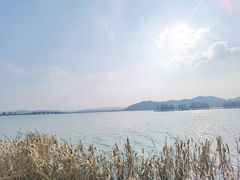 -东湖落雁景区