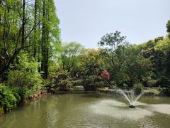 -上海醉白池公园