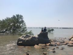 -宝安西湾红树林湿地公园