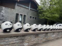 -都江堰中华大熊猫苑