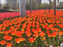 -廊坊文化艺术中心