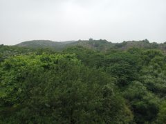 -白马涧龙池景区