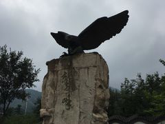 -北京鹫峰国家森林公园