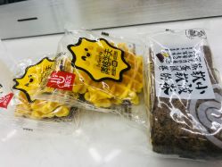 -蚂蚁造型沙龙