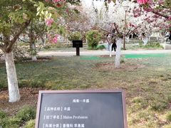 -海棠花溪(元大都城垣遗址公园)