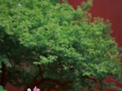 -北京市劳动人民文化宫(太庙)