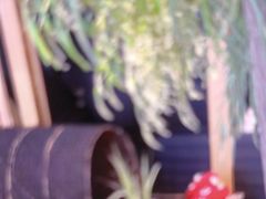 -姑苏二十四集(iD PARK 歌林公园店)