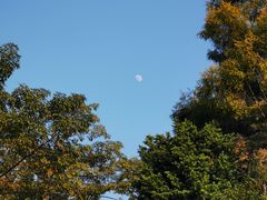 -广州神农草堂中医药博物馆