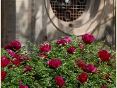 -鲁土司衙门旧址