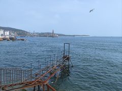 -大连老虎滩海洋公园