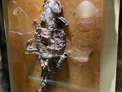 -辽宁古生物博物馆