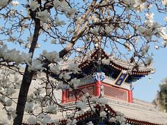 -西安市广仁寺