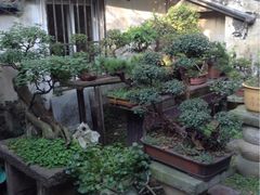 留荫庐-留荫庐旅馆