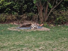 -昆山城市生态森林公园