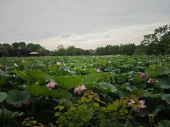 -苏州太湖国家湿地公园