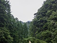 -瓦屋山景区