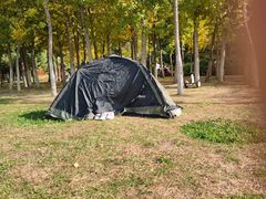 -长白岛森林公园