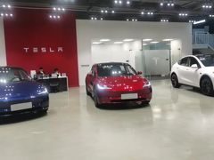 -TESLA 特斯拉(深圳观澜特斯拉直营钣喷中心)