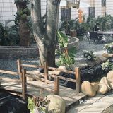 湛江版“小桥流水人家”