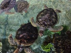 -福州罗源湾海洋世界旅游区