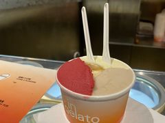 -Dip in Gelato(富民路店)