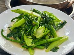 -鸽鸟轩(石岐店)