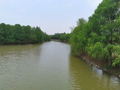 -上海海湾国家森林公园
