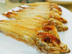 -瑞记湛江鸡饭店·粤西第一鸡(粤垦店)