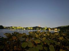 -西湖外事游船(花港观鱼码头)