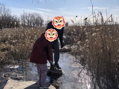 -绿堤公园