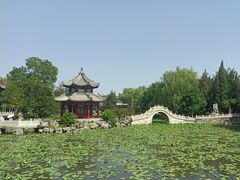 -莲池书院博物馆