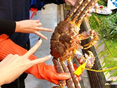 俄罗斯北岛长脚蟹-79号渔船海鲜饭店(华强北店)