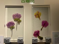 -中国湿地博物馆