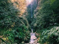 -午潮山国家森林公园