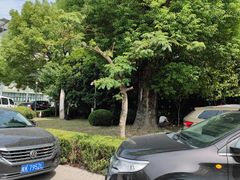 -上海市松江区中心医院