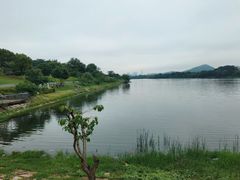 -羊山湖公园