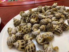 -北海港酒楼 海鲜代加工 粤菜(淡村商贸城店)