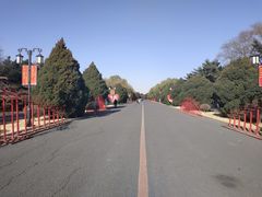 -北陵公园