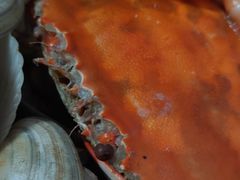 -晓伟海鲜家常菜