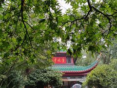 -岳麓山风景名胜区