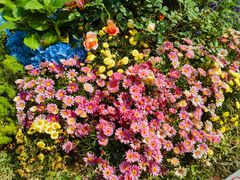 -人民公园(罗湖区)