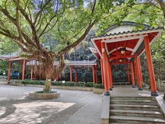 -广州市白云山风景名胜区