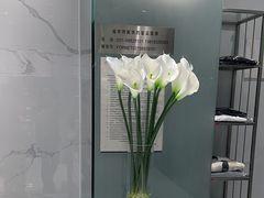 -福奈特洗衣洗鞋(海阳路店)