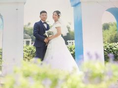 -百万葵园