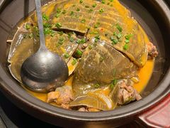 -凤凰湘语(浦东旗舰店)