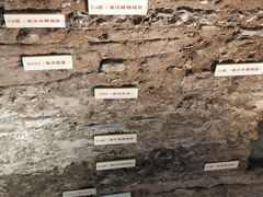 -南越王博物院(王宫展区)