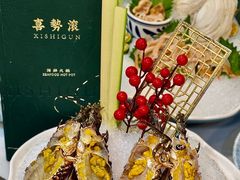 -喜聚薈·花膠雞海鮮火鍋(越秀店)