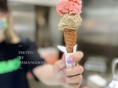 -Dip in Gelato(富民路店)