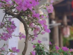 -坂田手造文化街