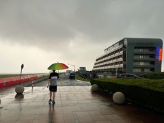 -南汇嘴观海公园